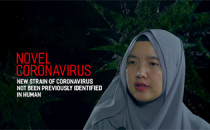 Novel Coronavirus (COVID-19) - BI